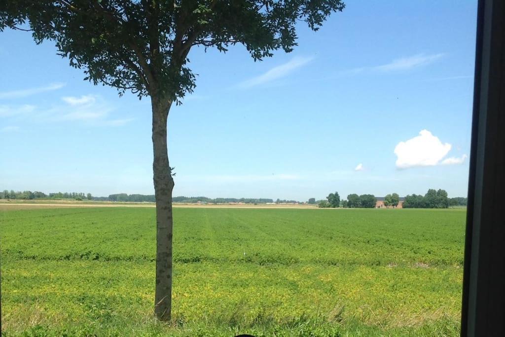 Dijkhuisje Zeeland Waterlandkerkje Buitenkant foto