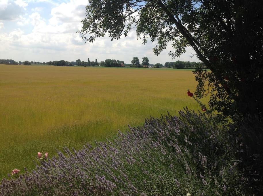 Dijkhuisje Zeeland Waterlandkerkje Buitenkant foto