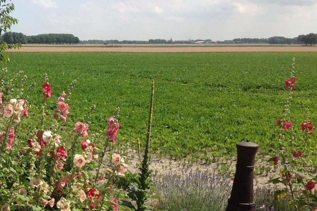 Dijkhuisje Zeeland Waterlandkerkje Buitenkant foto