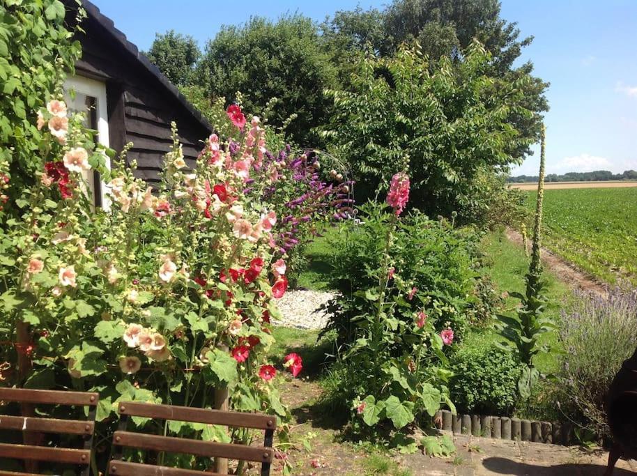 Dijkhuisje Zeeland Waterlandkerkje Buitenkant foto
